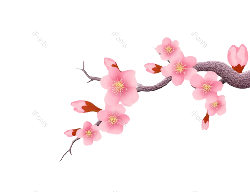 粉红色的花图片,白色背景元素,樱花PNG,灰色背景免抠素材